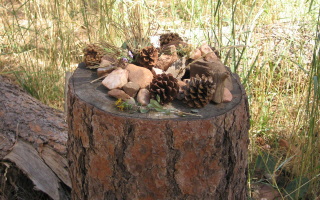 [Chautauqua tree-stump altar]